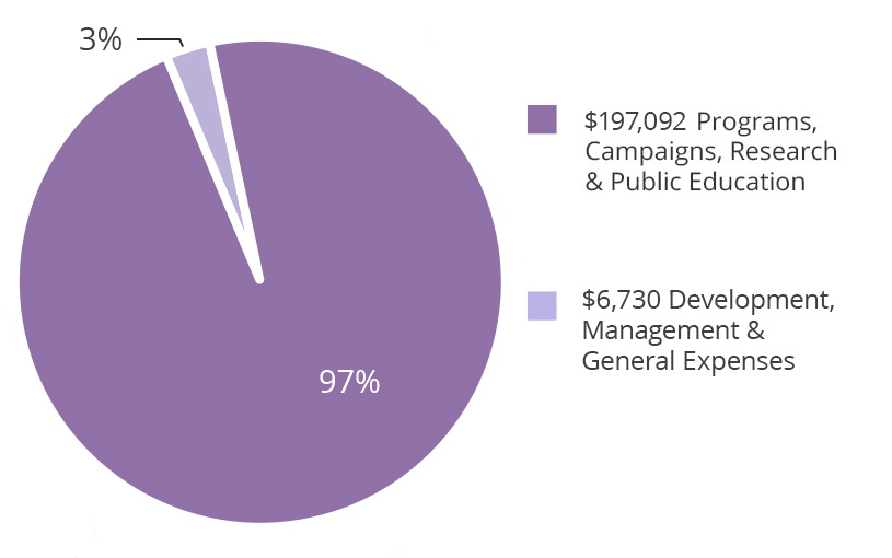 Finances pie chart